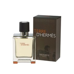 Tualettvesi Hermes Terre d'Hermes EDT meestele 50 ml цена и информация | Мужские духи | kaup24.ee