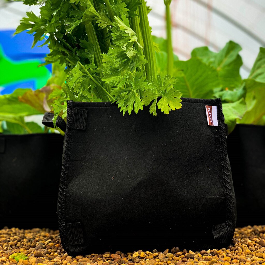 Viltpott "Dirt pot" 37L hind ja info | Dekoratiivsed lillepotid | kaup24.ee