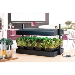 Kasvulava "Grow Light Garden" 24W Musta värvi цена и информация | Вазоны для рассады и пересадки | kaup24.ee