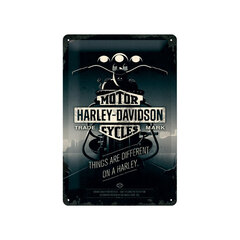 Metallplaat 20 x 30 cm, Harley-Davidson Things are different on a Harley hind ja info | Sisustuselemendid | kaup24.ee