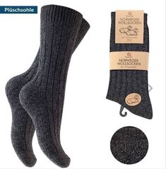 Мужские зимние носки с шерстью Foostar Norweger 71233, 3, серые цена и информация | Мужские носки | kaup24.ee