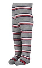 Tommy Hilfiger beebi sukkpüksid, hall-triibuline hind ja info | Beebi sokid ja sukkpüksid | kaup24.ee