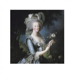 Lõhnakotik Le Blanc, Marie-Antoinette roosi aroom 8 g hind ja info | Kodulõhnastajad | kaup24.ee