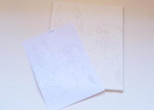 Kартины по номерам "Снежный дракон" 40x60 G цена и информация | Живопись по номерам | kaup24.ee