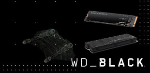WD WDS400T3X0C hind ja info | Sisemised kõvakettad (HDD, SSD, Hybrid) | kaup24.ee