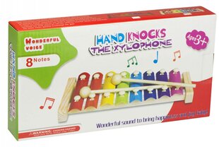Цветной деревянный детский ксилофон цена и информация | Развивающие игрушки | kaup24.ee