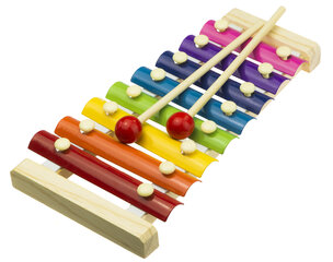 Цветной деревянный детский ксилофон цена и информация | Развивающие игрушки и игры | kaup24.ee