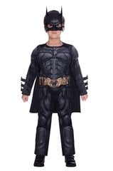 Batmani kostüüm цена и информация | Карнавальные костюмы | kaup24.ee
