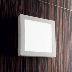 Ideal Lux valgusti Universal D22 Square 138640 цена и информация | Потолочные светильники | kaup24.ee