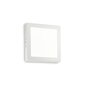 Ideal Lux valgusti Universal D22 Square 138640 hind ja info | Laelambid | kaup24.ee