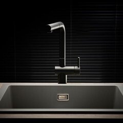 Väljatõmmatava kraaniga köögisegisti Reginox Cedar, must цена и информация | Кухонные смесители | kaup24.ee