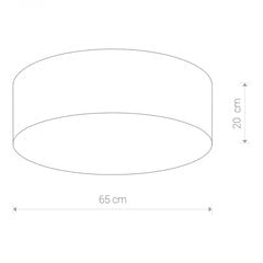 Nowodvorski Lighting laevalgusti Cameron White IV 9606 hind ja info | Laelambid | kaup24.ee