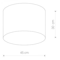 Nowodvorski Lighting laevalgusti Cameron Gray III 9683 hind ja info | Laelambid | kaup24.ee