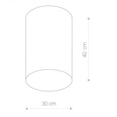 Nowodvorski Lighting laevalgusti Cameron White I 9685 hind ja info | Laelambid | kaup24.ee