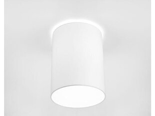 Nowodvorski Lighting laevalgusti Cameron White I 9685 цена и информация | Потолочные светильники | kaup24.ee