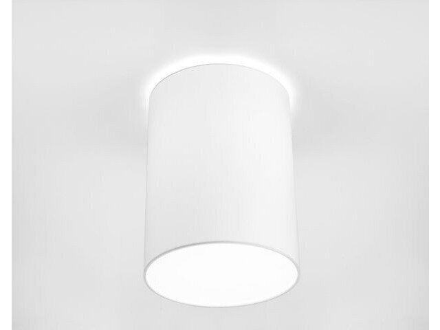 Nowodvorski Lighting laevalgusti Cameron White I 9685 цена и информация | Laelambid | kaup24.ee