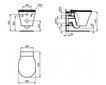 Seinale kinnitatav WC-pott Ideal Standard Connect цена и информация | WС-potid | kaup24.ee