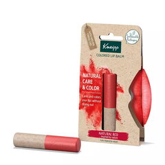 Kneipp Natural Care & Color huulepalsam 3,5 g, Natural Red цена и информация | Помады, бальзамы, блеск для губ | kaup24.ee