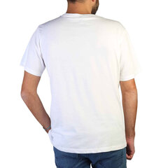Футболка мужская Carrera Jeans 801P_0047A_002, белая цена и информация | Мужские футболки | kaup24.ee