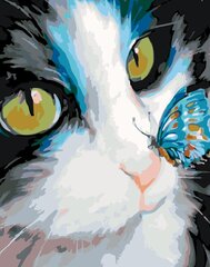 Maalid numbrite järgi "Cat and butterfly" 40x50 G цена и информация | Живопись по номерам | kaup24.ee