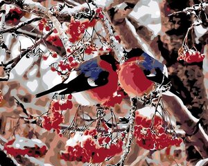 Kартины по номерам "Птицы зимой" 40x50 G цена и информация | Живопись по номерам | kaup24.ee