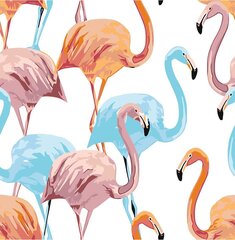 Maalid numbrite järgi "Colored flamingos" 40x40 G hind ja info | Maalid numbri järgi | kaup24.ee