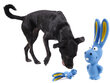 Koera mänguasi, kummist jänes 12714 цена и информация | Mänguasjad koertele | kaup24.ee