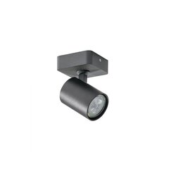 Azzardo потолочный светильник Exo Black 1 AZ3193 цена и информация | Потолочные светильники | kaup24.ee