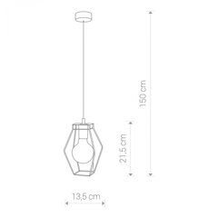 Nowodvorski Lighting подвесной светильник Fiord 9670 цена и информация | Люстры | kaup24.ee