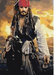 Maalid numbrite järgi "Johnny Depp" 40 x 60 G hind ja info | Maalid numbri järgi | kaup24.ee