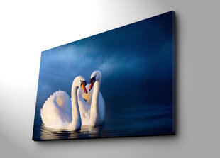 Репродукция на холсте Лебеди цена и информация | Репродукции, картины | kaup24.ee