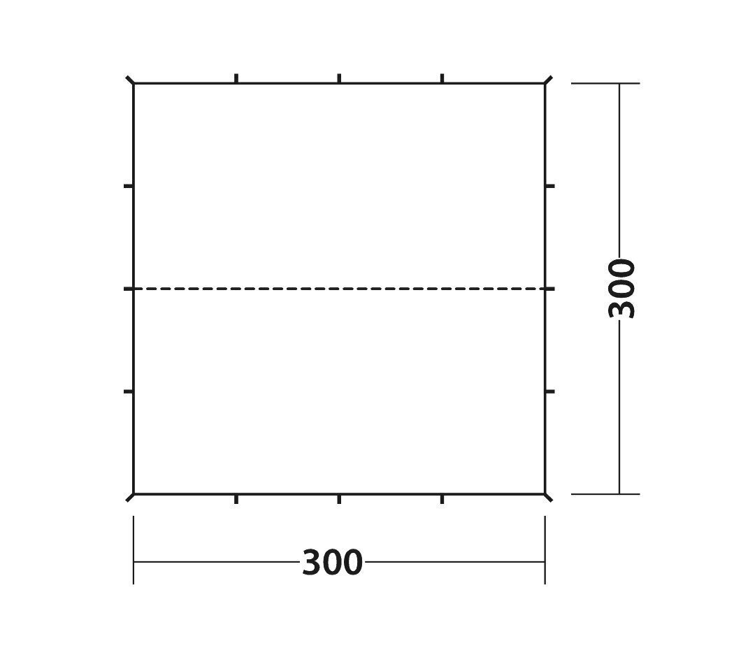 Vaatetorn-varikatus telgile Easy Camp Tarp, 3x3 m hind ja info | Telgid | kaup24.ee