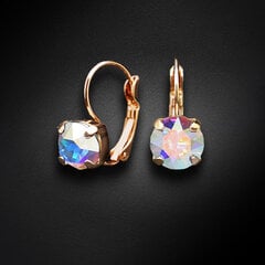 Naiste kõrvarõngad Diamond Sky „Glory II (Aurore Boreale)“ koos Swarovski kristallidega DS02A207 hind ja info | Kõrvarõngad | kaup24.ee