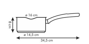 Tescoma сотейник с двумя носиками, 16 см, 1,5 л цена и информация | Кастрюли, скороварки | kaup24.ee