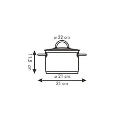 Tescoma Vision pott kaanega, 22 cm, 4 l цена и информация | Кастрюли, скороварки | kaup24.ee