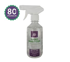 Kätepuhastusvahend Hand Sanitizer 300ml цена и информация | Аптечки | kaup24.ee