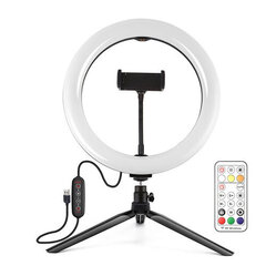 LED rõngaslamp 26cm, koos statiiviga 8,3cm, USB hind ja info | Fotovalgustuse seadmed | kaup24.ee