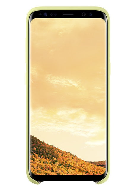 Kaitseümbris Samsung Galaxy S8 Plus G955, Roheline цена и информация | Telefoni kaaned, ümbrised | kaup24.ee