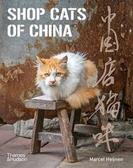 Raamat Shop Cats of China hind ja info | Entsüklopeediad, teatmeteosed | kaup24.ee