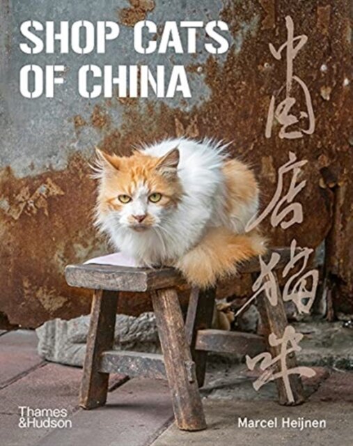 Raamat Shop Cats of China цена и информация | Entsüklopeediad, teatmeteosed | kaup24.ee