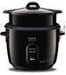 Tefal Classic 2 hind ja info | Aurutajad, multikeetjad | kaup24.ee