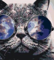 Kартины по номерам "Кот в очках" 40x50 G цена и информация | Живопись по номерам | kaup24.ee