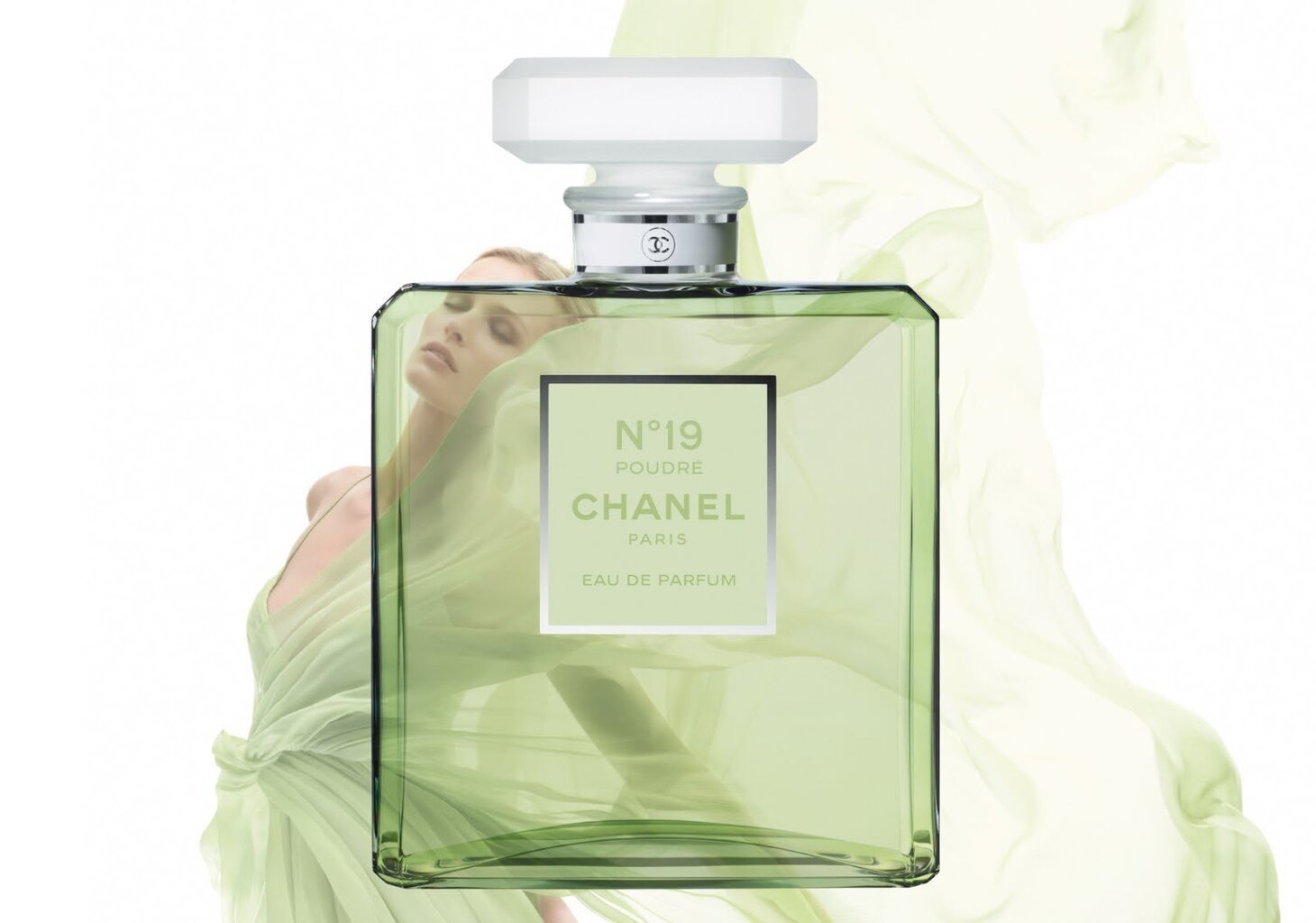Chanel No. 19 Poudre EDP naistele 100 ml цена и информация | Naiste parfüümid | kaup24.ee