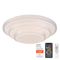 Потолочный светильник Globo Lighting Magnefique G48005FSH-30 цена и информация | Потолочные светильники | kaup24.ee