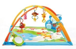 Развивающий игровой коврик Tiny Love Gymini® Musical цена и информация | Коврики для младенцев | kaup24.ee