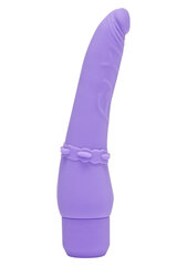 Vibraator Toy Joy Get Real Smooth, lilla hind ja info | Vibraatorid | kaup24.ee