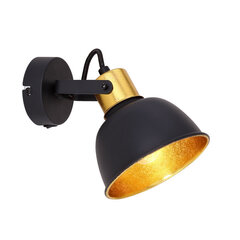 Светильник Globo Lighting Fillo G54655-1 цена и информация | Настенный светильник Конусы | kaup24.ee