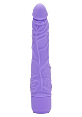 Vibraator Toy Joy Get Real Slim, lilla цена и информация | Вибраторы | kaup24.ee