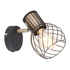 Светильник Globo Lighting Argusto G54013-1 цена и информация | Настенный светильник Конусы | kaup24.ee