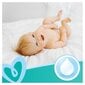 Niisked salvrätikud Pampers Fresh Clean 15x80 tk цена и информация | Niisked salvrätikud | kaup24.ee